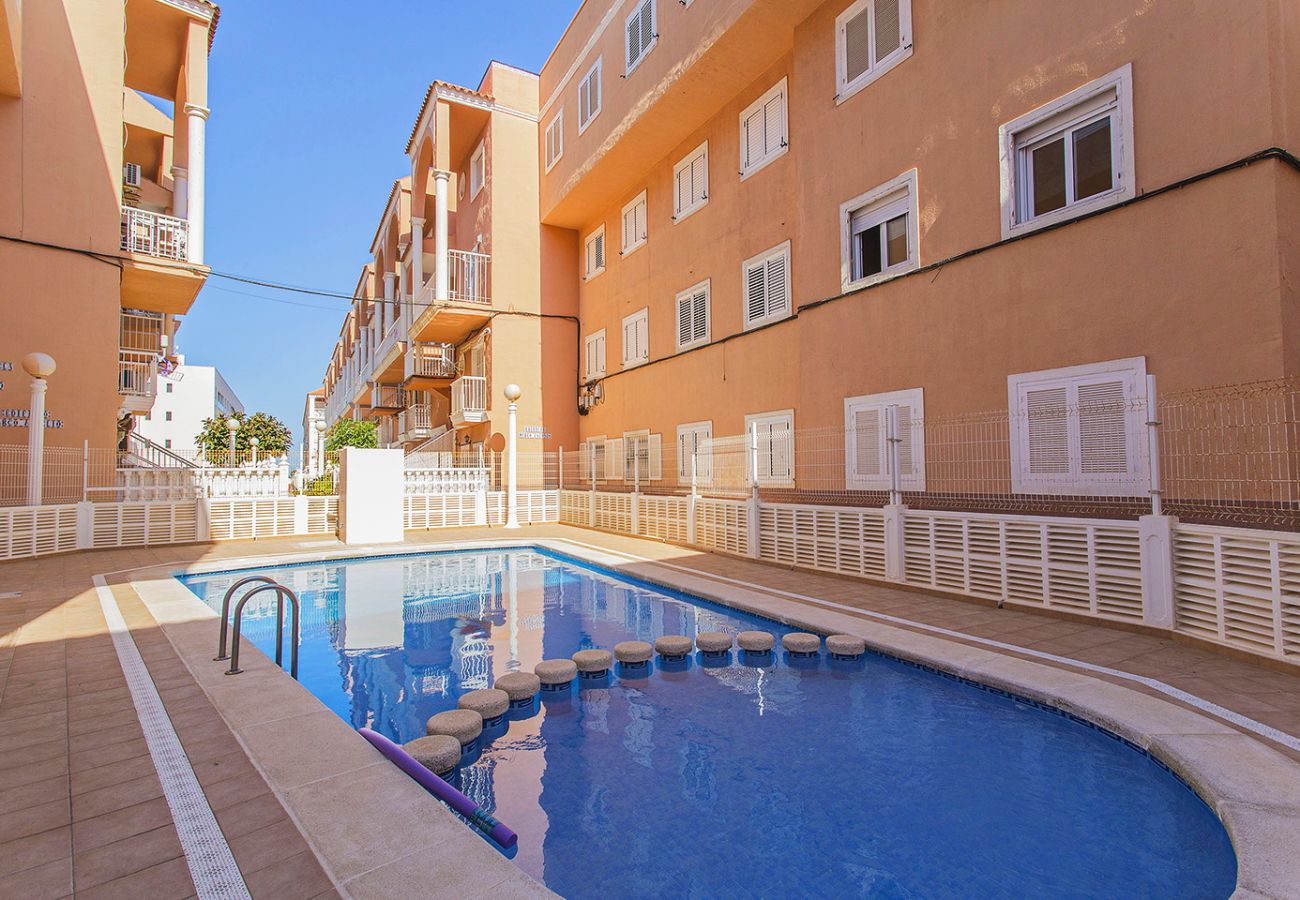 Ferienwohnung in La Mata - 033 Beach Terrace - Alicante Real Estate