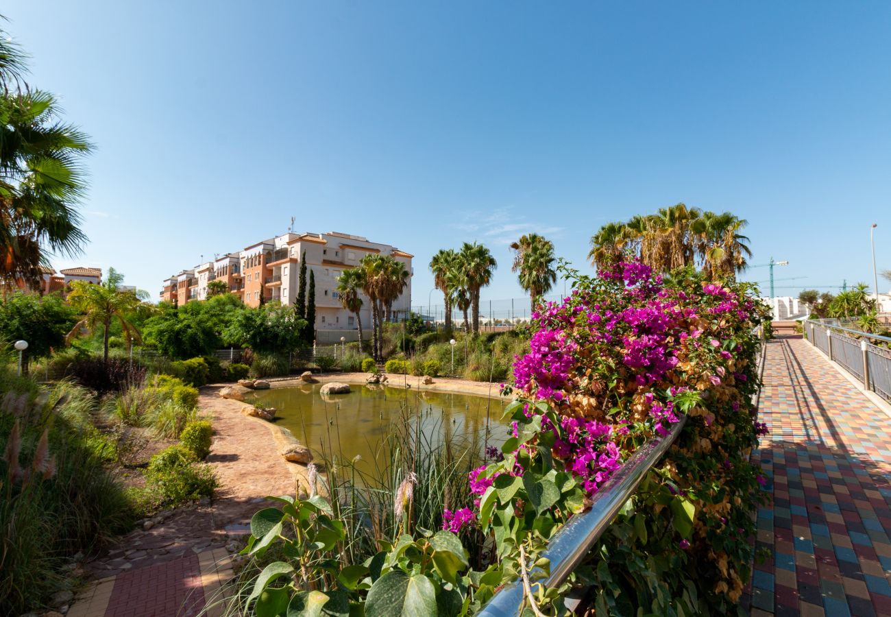 Ferienwohnung in Orihuela Costa - 224 Pool Laguna Golf - Alicante Holiday