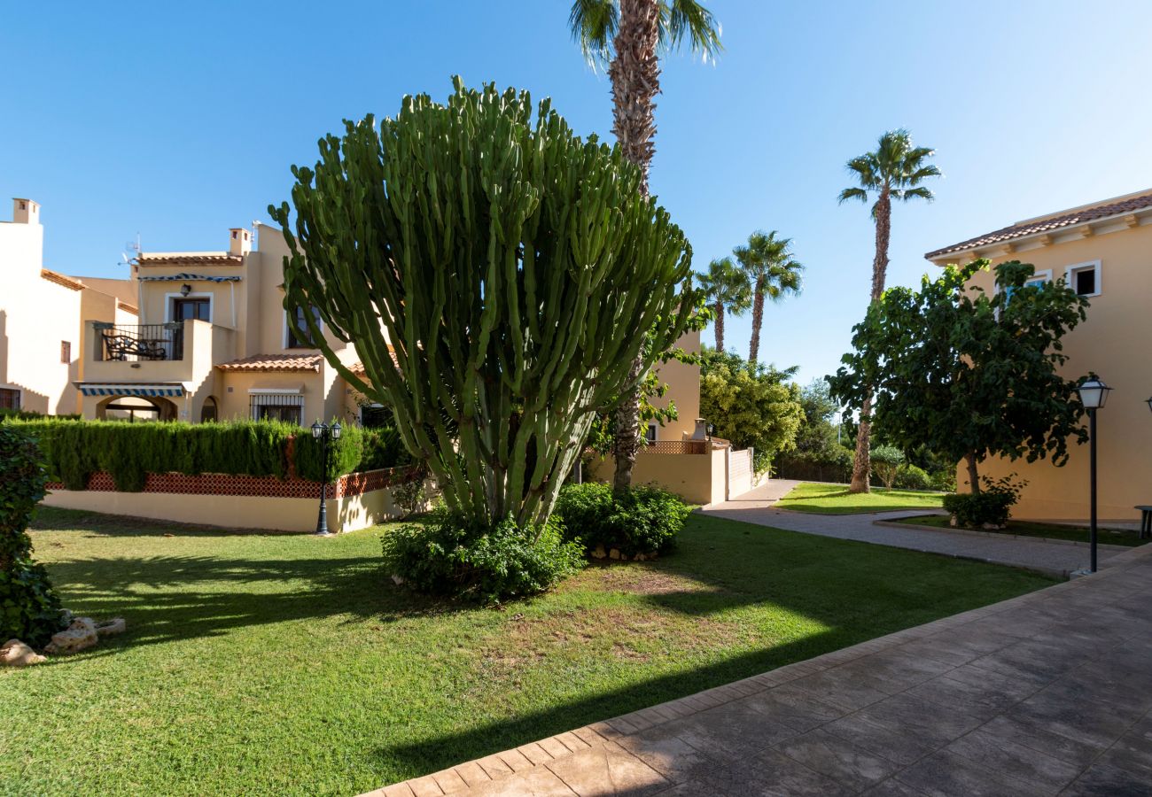 Stadthaus in La Zenia - 228 Lovely Home La Zenia - Alicante Holiday