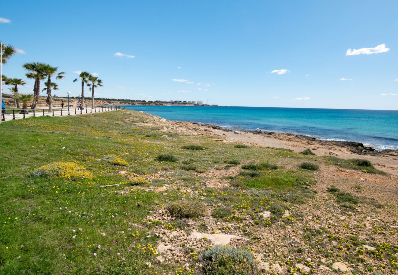 Stadthaus in La Zenia - 228 Lovely Home La Zenia - Alicante Holiday