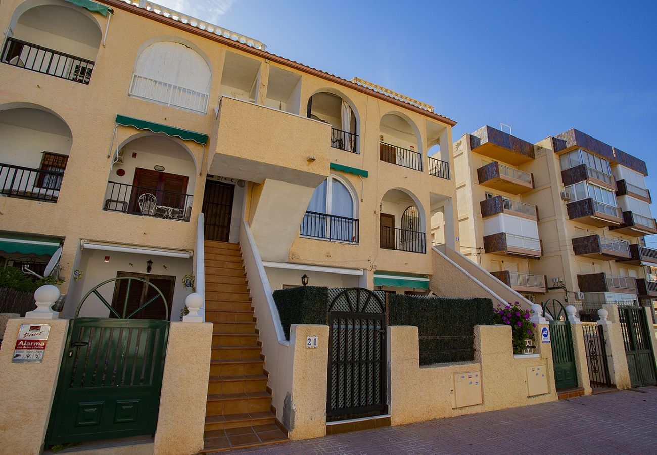 Ferienwohnung in La Mata - 039 Nice Quiet Feelling - Alicante Holiday