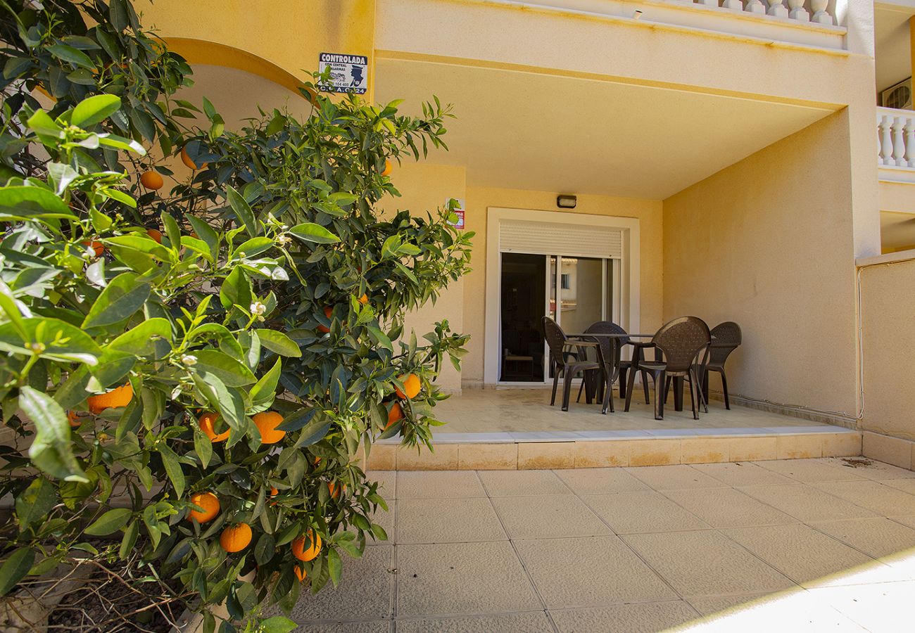 Ferienwohnung in Dehesa de Campoamor - 242 Relax & Enjoy Alicante Holiday