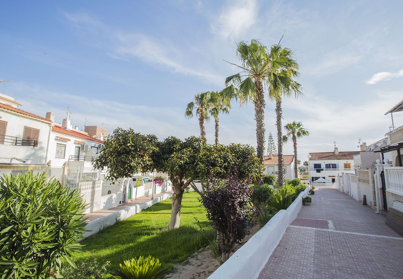 Bungalow in Torrevieja - 104  Nice Pool Enjoyment - Alicante Holiday