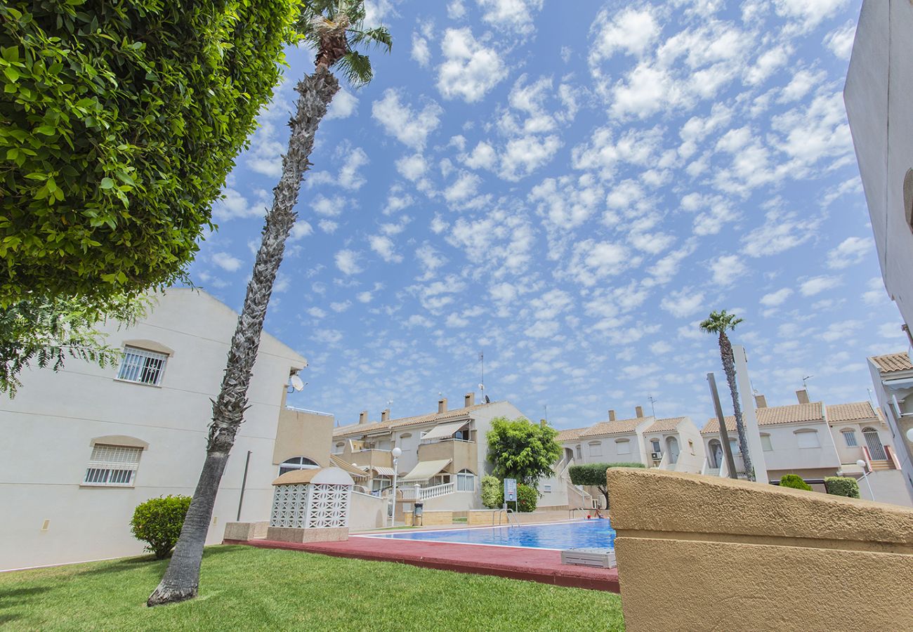 Ferienwohnung in Torrevieja - 146 Quiet Pool Relax - Alicante Holiday