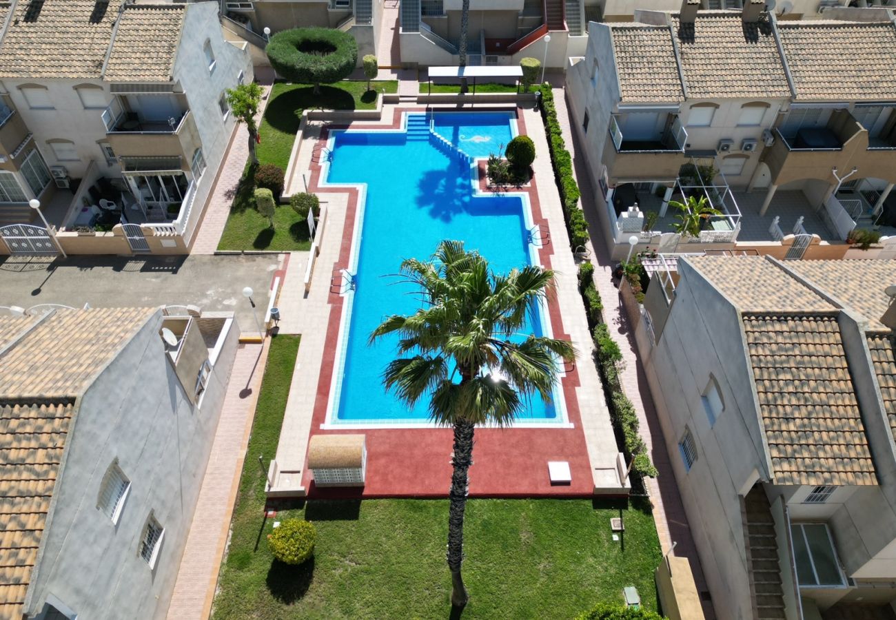 Ferienwohnung in Torrevieja - 146 Quiet Pool Relax - Alicante Holiday