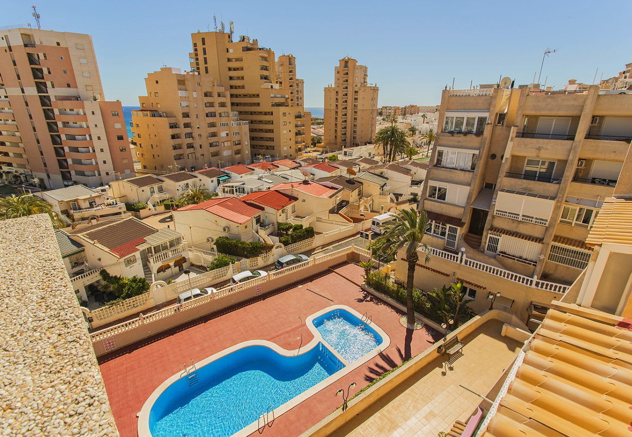 Ferienwohnung in Torrevieja - 019 Lomas Penthouse - Alicante Holiday