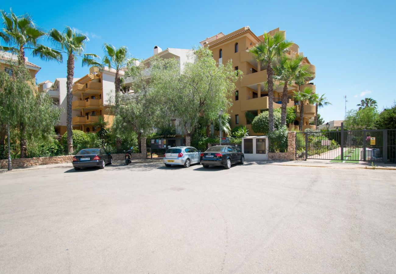 Apartamento en Torrevieja - 214 Panorama Park - Alicante Holiday