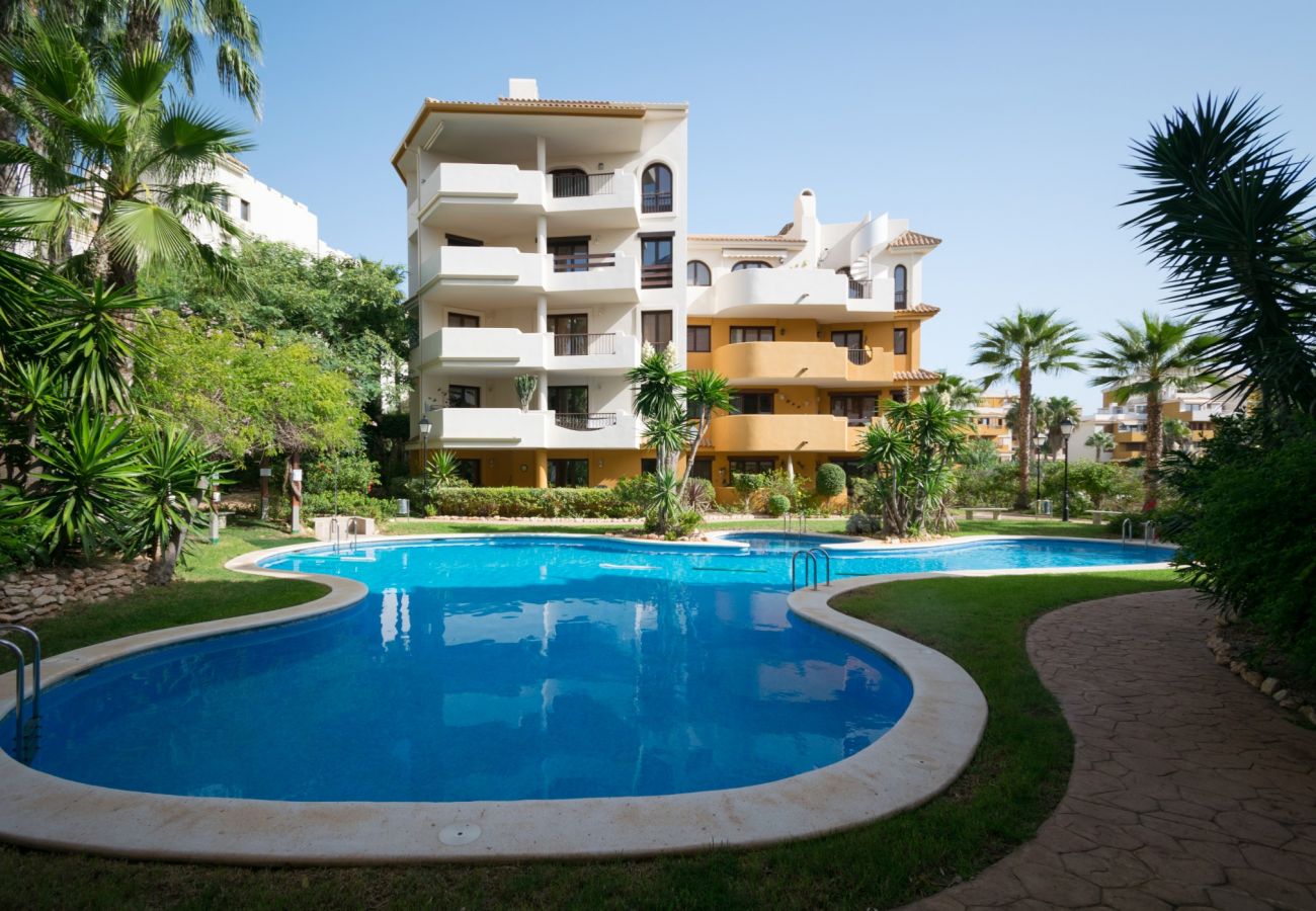 Apartamento en Torrevieja - 214 Panorama Park - Alicante Holiday