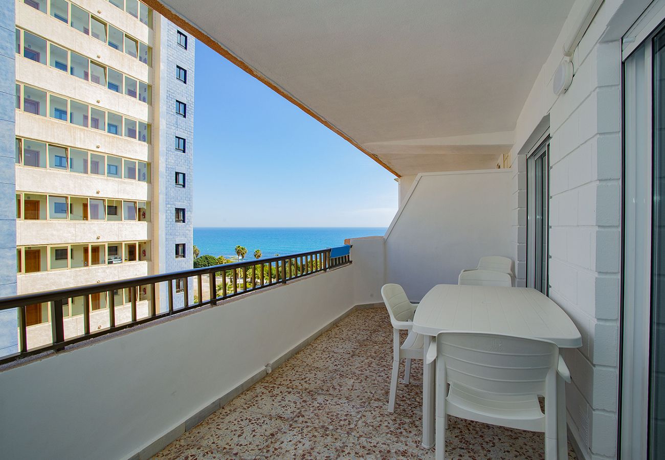 Apartamento en Torrevieja - 106 Economy Sea View - Alicante Holiday