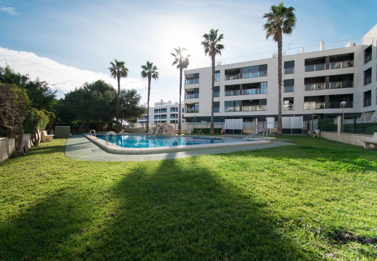 Apartamento en La Mata - 119 Sunny Dream - Alicante Holiday