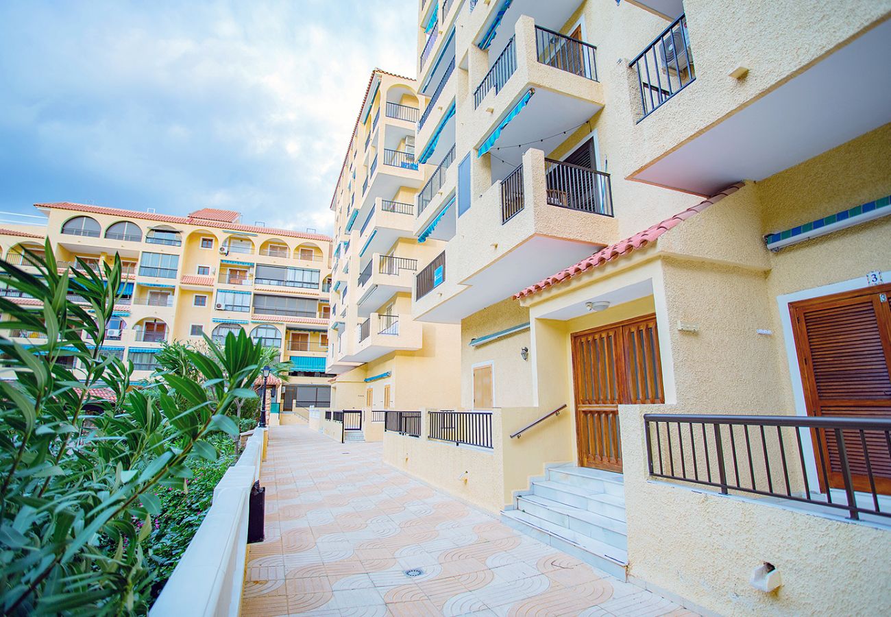 Apartamento en La Mata - 116 COSTA BLANCA HOLIDAYS - Alicante Holiday