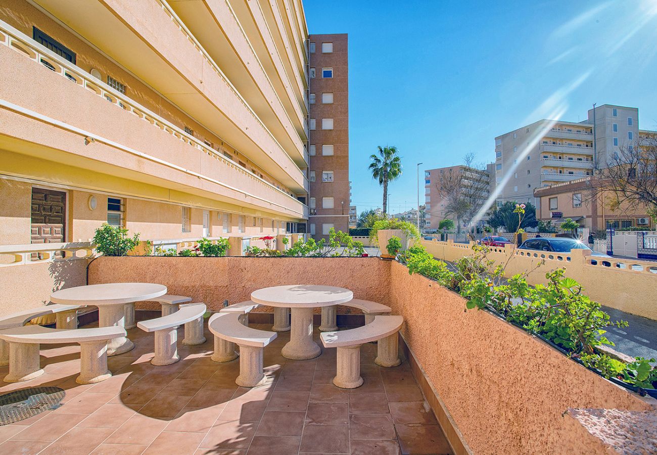 Apartamento en La Mata - 131 Sea Dream - Alicante Holiday