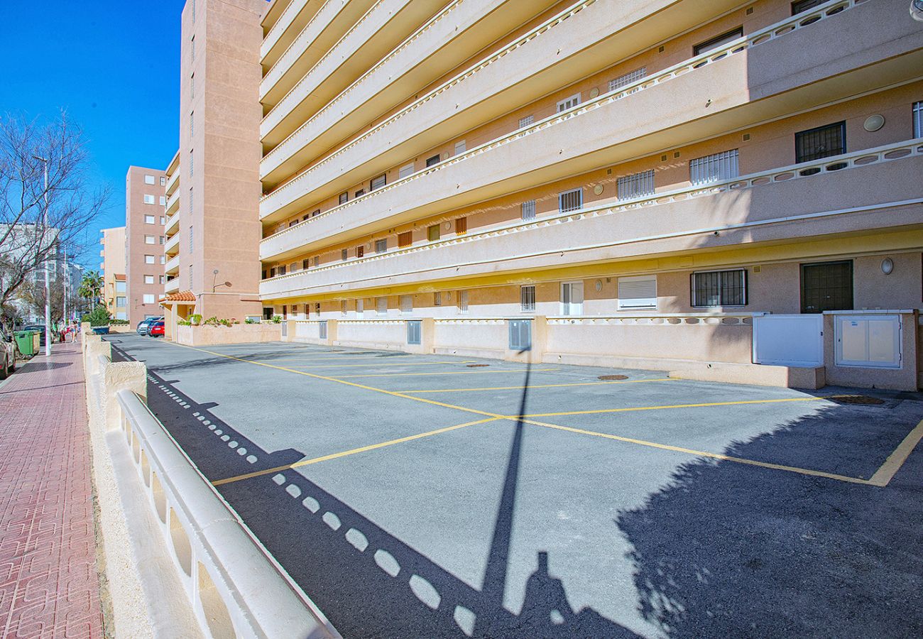 Apartamento en La Mata - 131 Sea Dream - Alicante Holiday