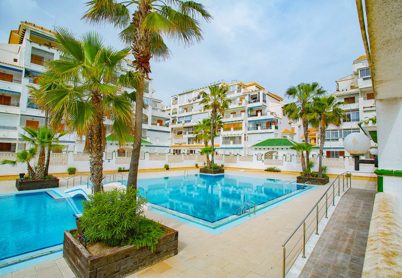 Apartamento en La Mata - 020 Lovely Studio - Alicante Holiday