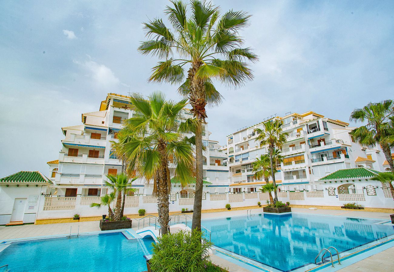 Apartamento en La Mata - 020 Lovely Studio - Alicante Holiday