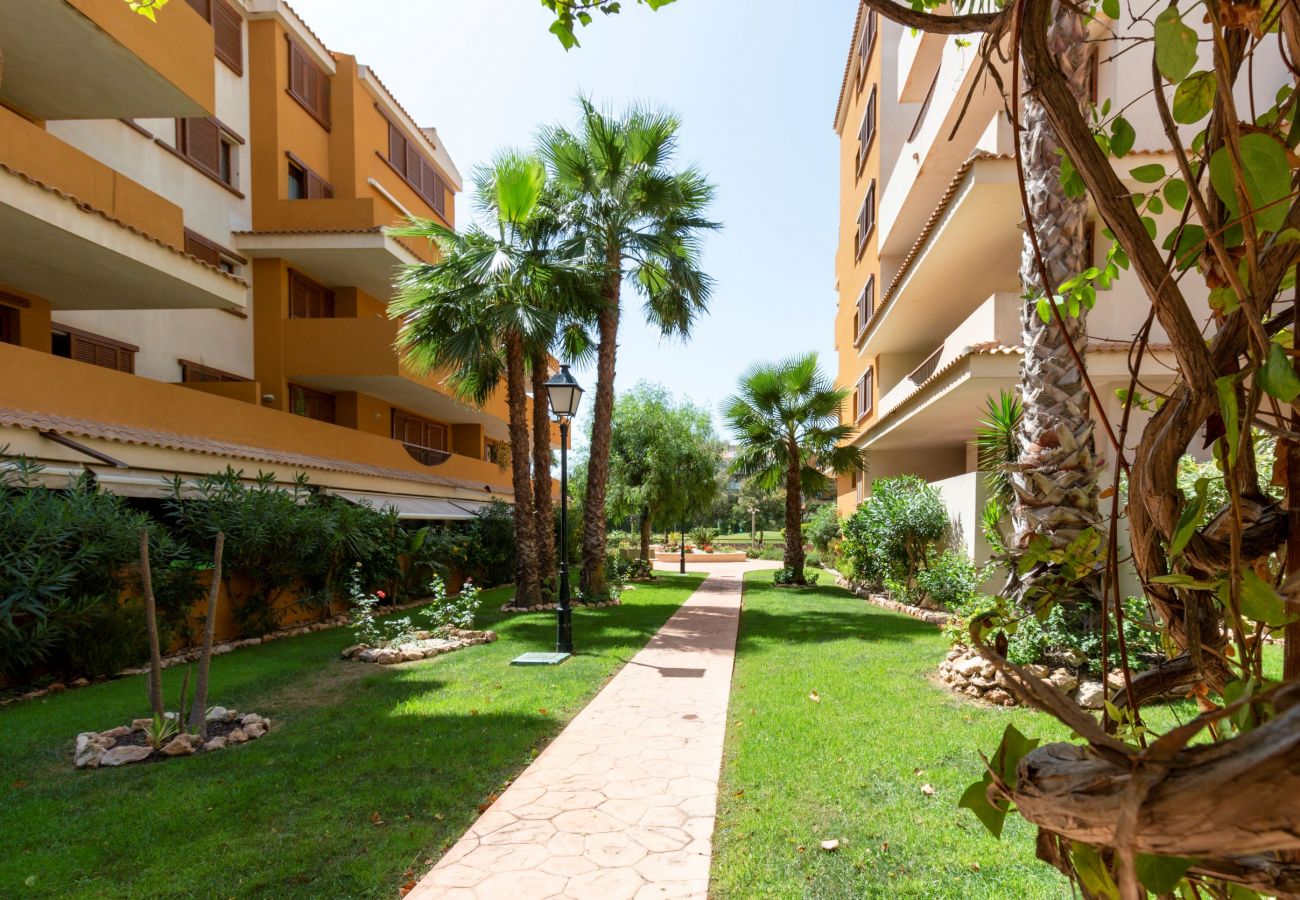 Apartamento en Torrevieja - 222 Lovely 3  Pools Home - Alicante Holiday