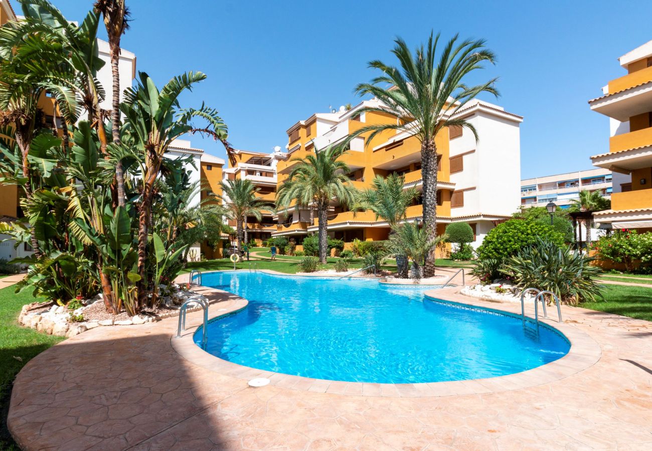 Apartamento en Torrevieja - 222 Lovely 3  Pools Home - Alicante Holiday