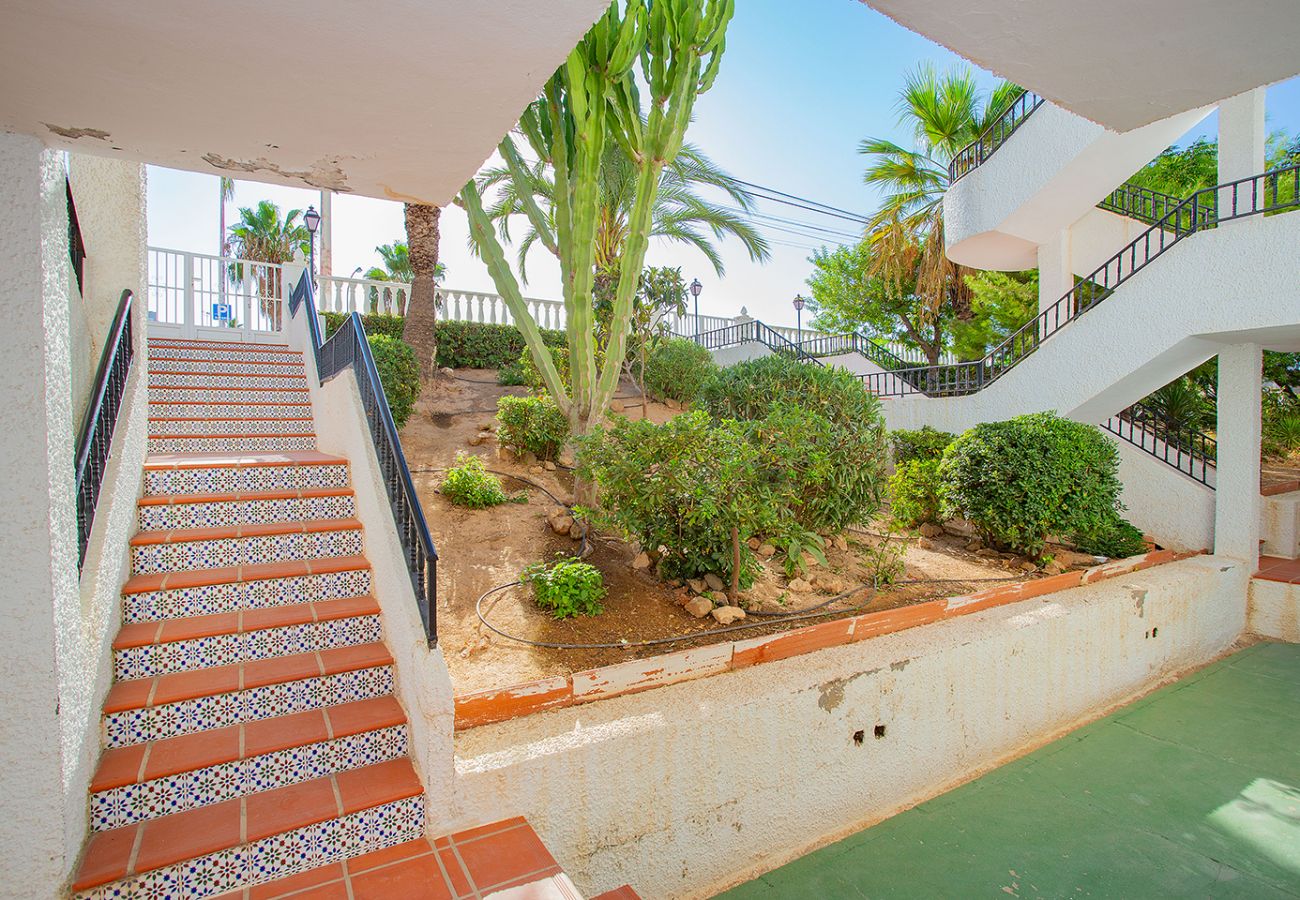 Apartamento en Torrevieja - 109 Relax Lomas Pool - Alicante Holiday