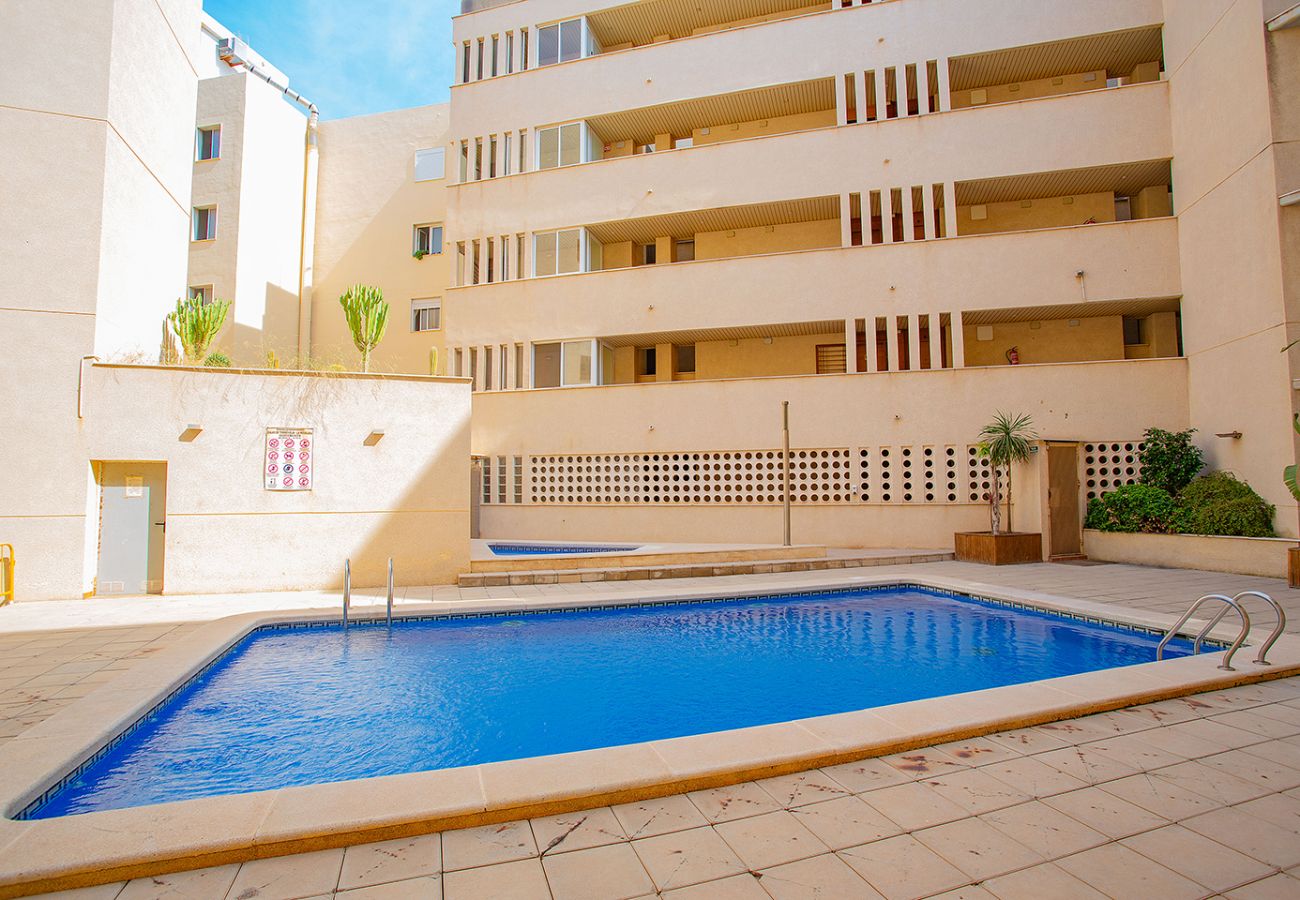 Apartamento en Torrevieja - 081 Purissima Dream - Alicante Holiday