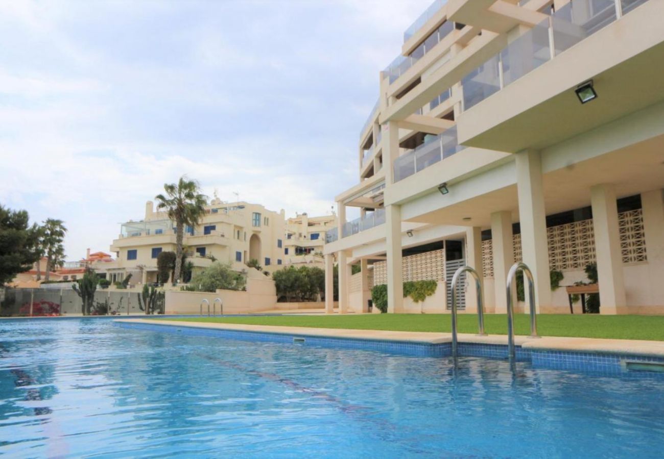 Apartamento en La Zenia - 235 Zenia Mar Azul-Alicante Holiday