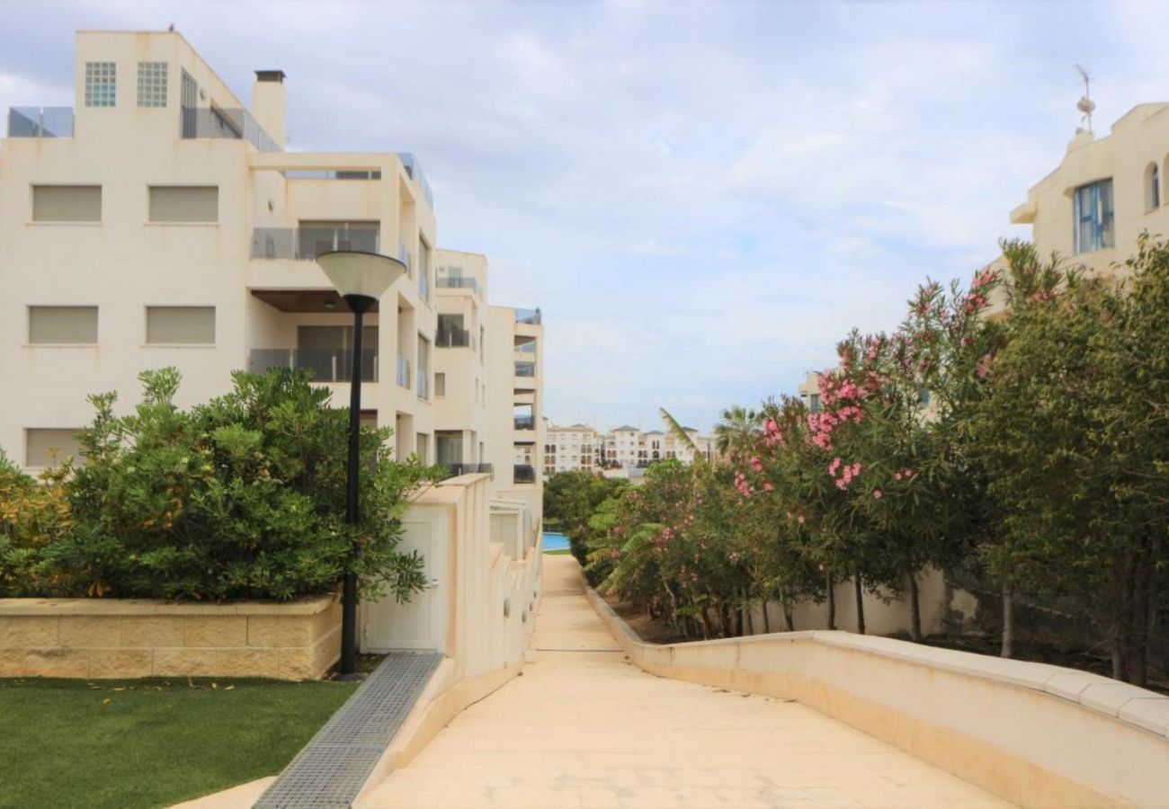 Apartamento en La Zenia - 235 Zenia Mar Azul-Alicante Holiday