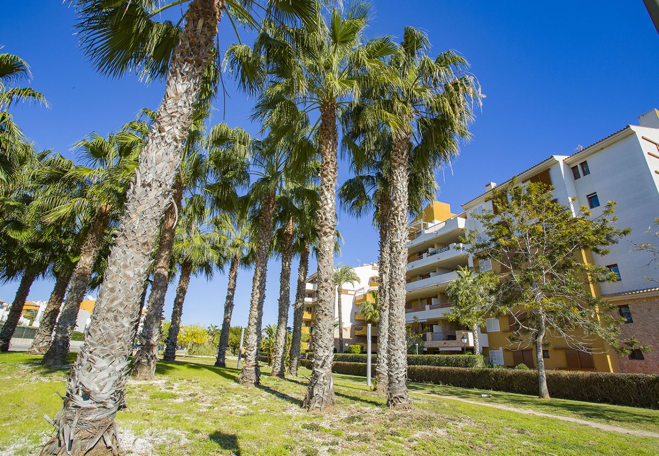 Apartamento en Torrevieja - 231  Recoleta Style Relax - Alicante Holiday