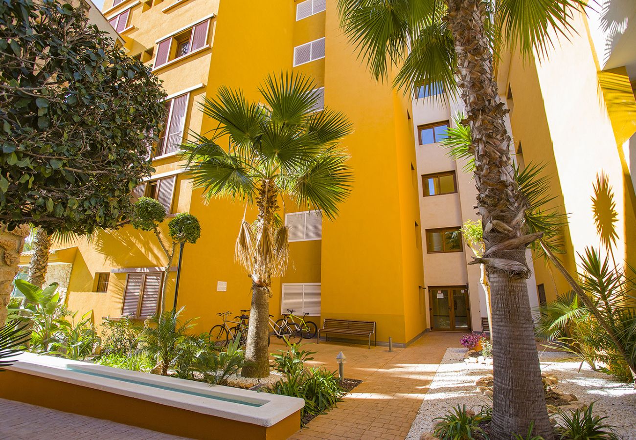 Apartamento en Torrevieja - 231  Recoleta Style Relax - Alicante Holiday