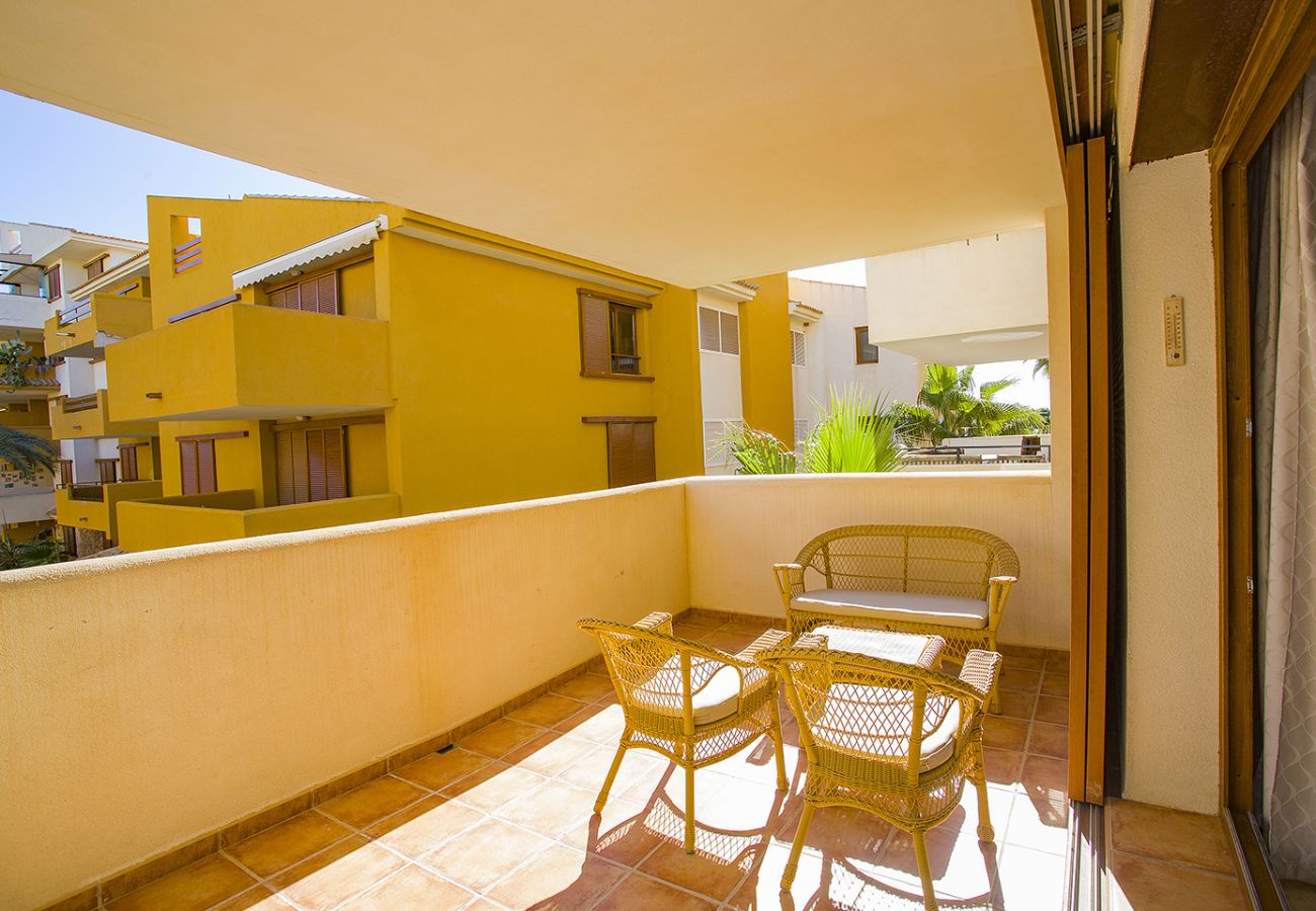 Apartamento en Torrevieja - 231  Recoleta Style Relax - Alicante Holiday