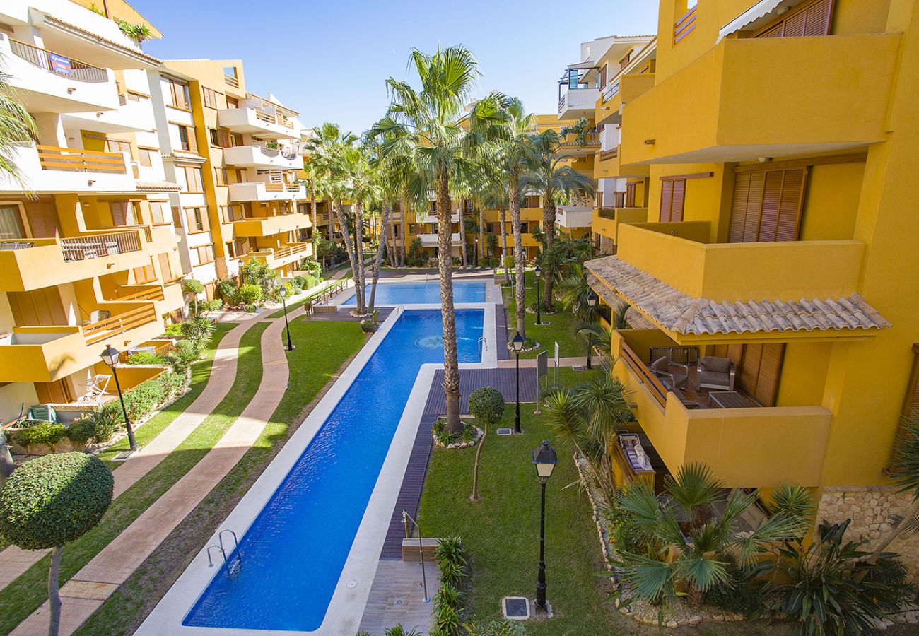 Apartamento en Torrevieja - 231  Recoleta Style Relax - Alicante Holiday