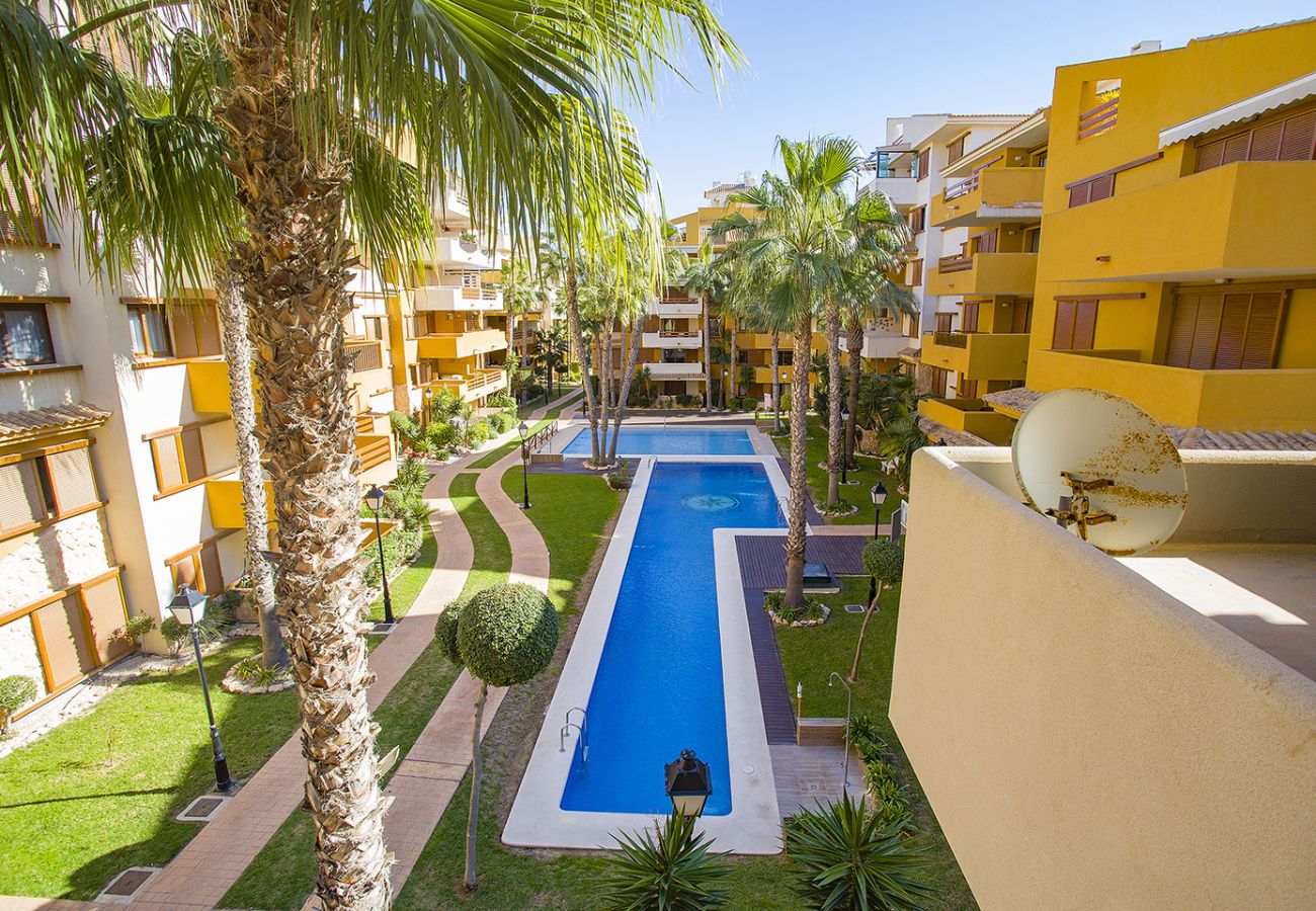 Apartamento en Torrevieja - 231  Recoleta Style Relax - Alicante Holiday