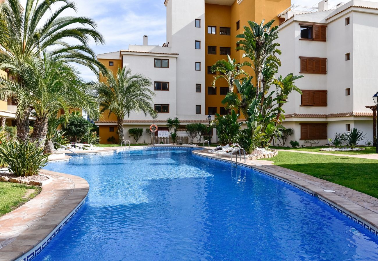 Apartamento en Torrevieja - 231  Recoleta Style Relax - Alicante Holiday