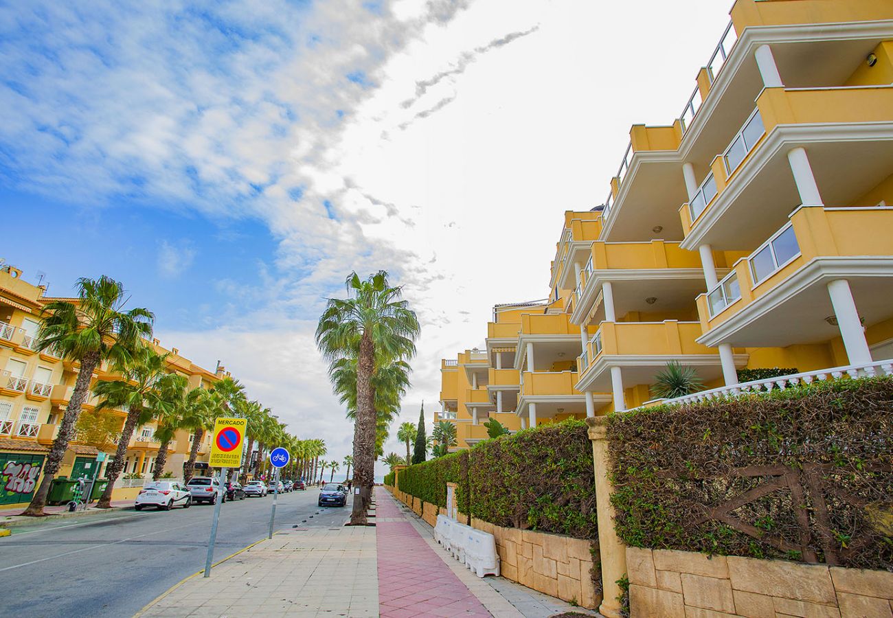 Apartamento en Cabo Roig - 241 Cabo Roig Sea View-Alicante Holiday