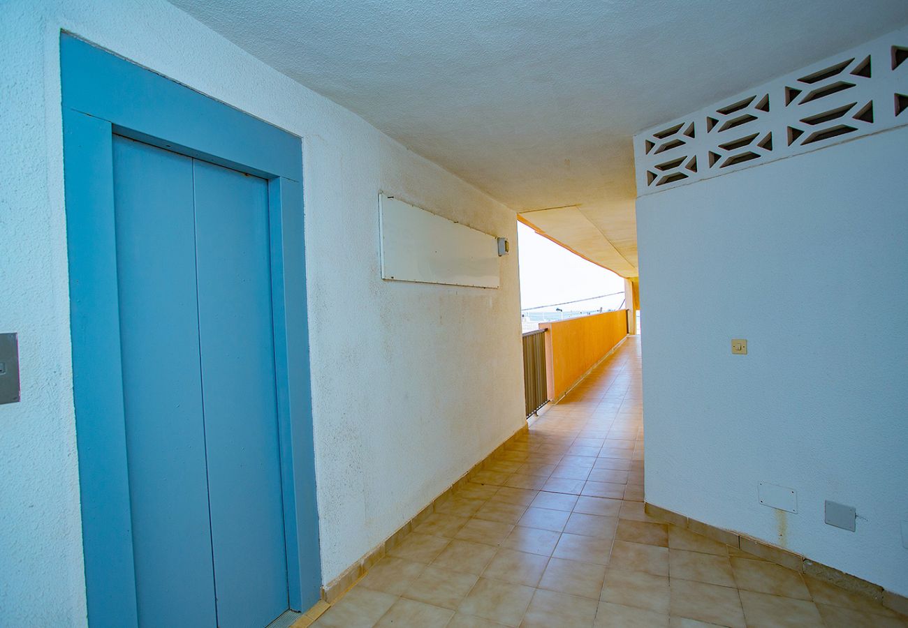 Apartamento en Torrevieja - 056 Great Sea View - Alicante Holiday