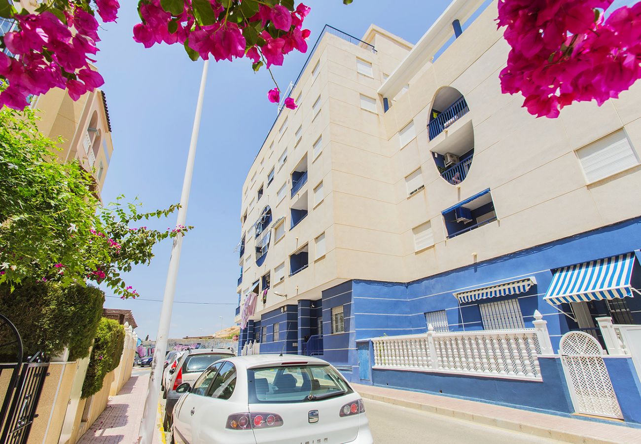 Apartamento en La Mata - 086 Retro Mayor Holiday - Alicante Holiday