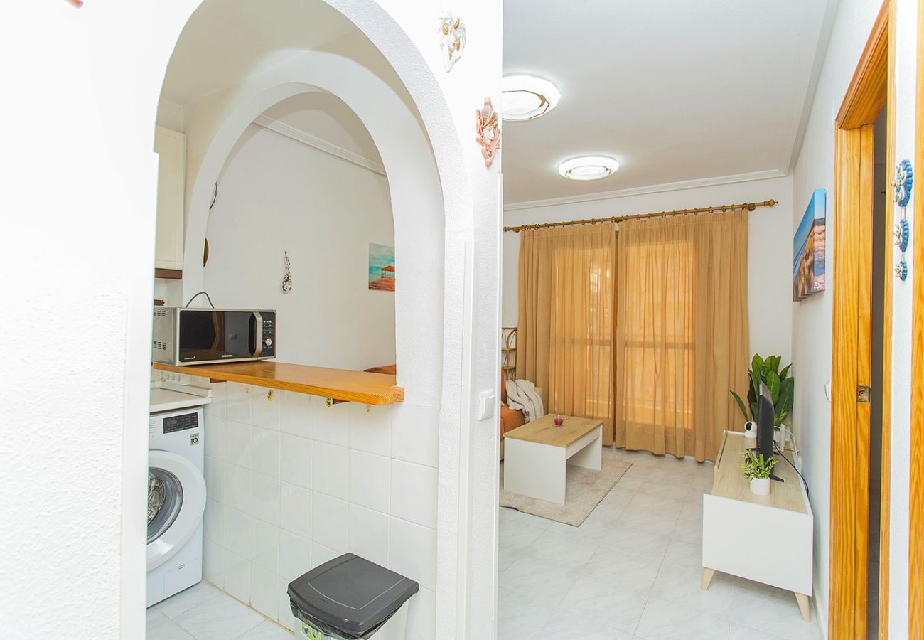 Apartamento en La Mata - 013 Sunny Beach Spain Apartment - Alicante Holiday