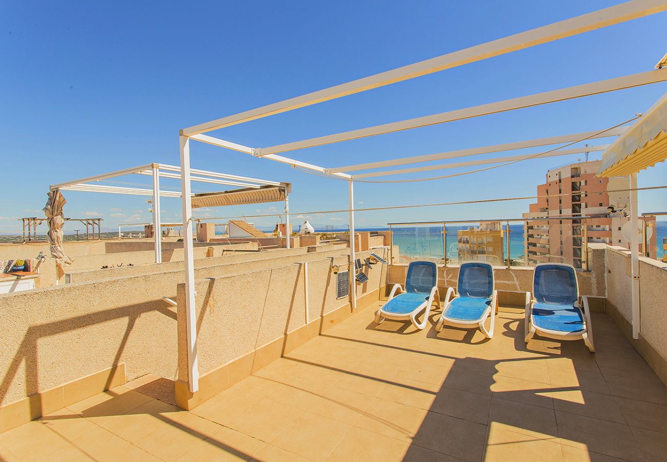 Apartamento en Torrevieja - 019 Lomas Penthouse - Alicante Holiday