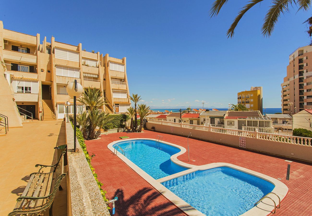 Apartamento en Torrevieja - 019 Lomas Penthouse - Alicante Holiday