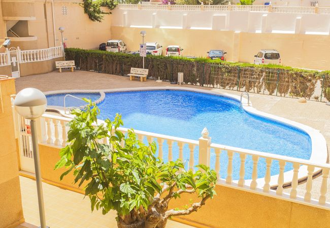 Torrevieja - Apartamento