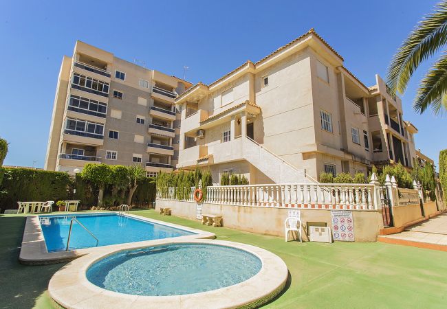 Torrevieja - Apartamento