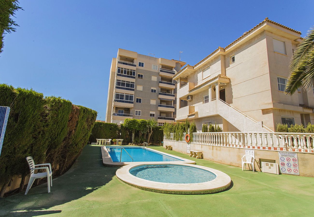 Apartamento en Torrevieja - 151 Lovely Perseo Alicante-Holiday