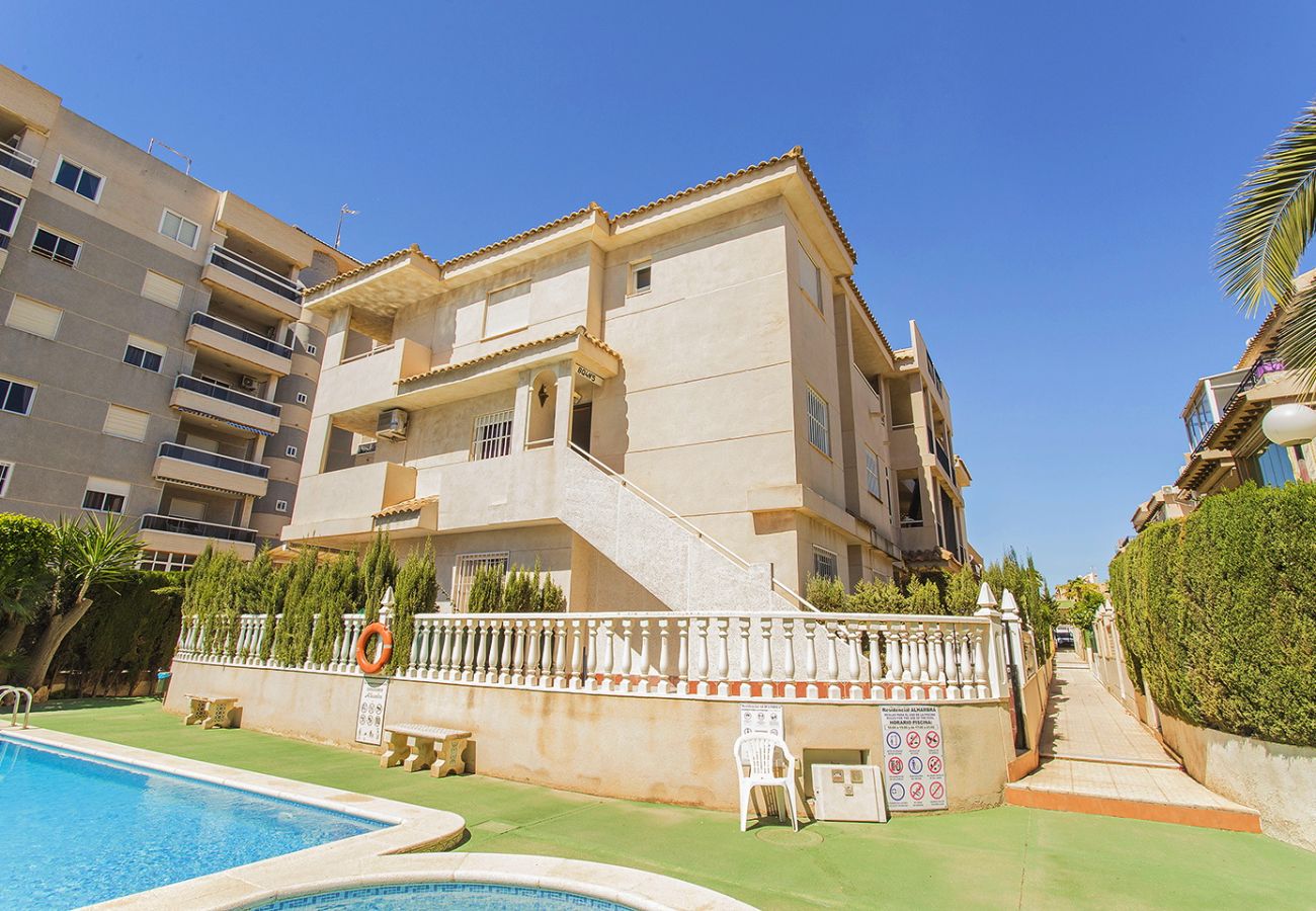 Apartamento en Torrevieja - 151 Lovely Perseo Alicante-Holiday