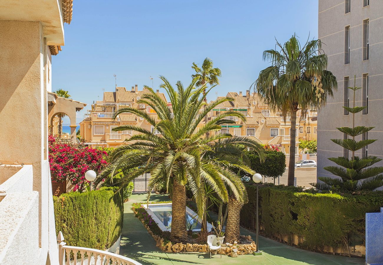 Apartamento en Torrevieja - 151 Lovely Perseo Alicante-Holiday