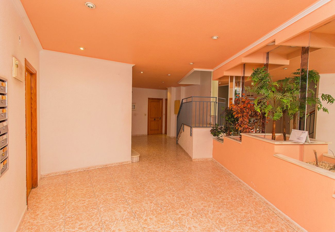 Apartamento en Torrevieja - 001 Red Harmony Alicante-Holiday