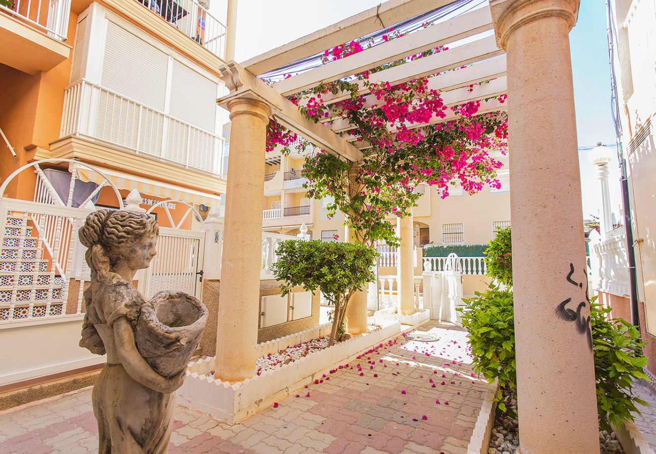 Apartment in La Mata - 033 Beach Terrace - Alicante Real Estate