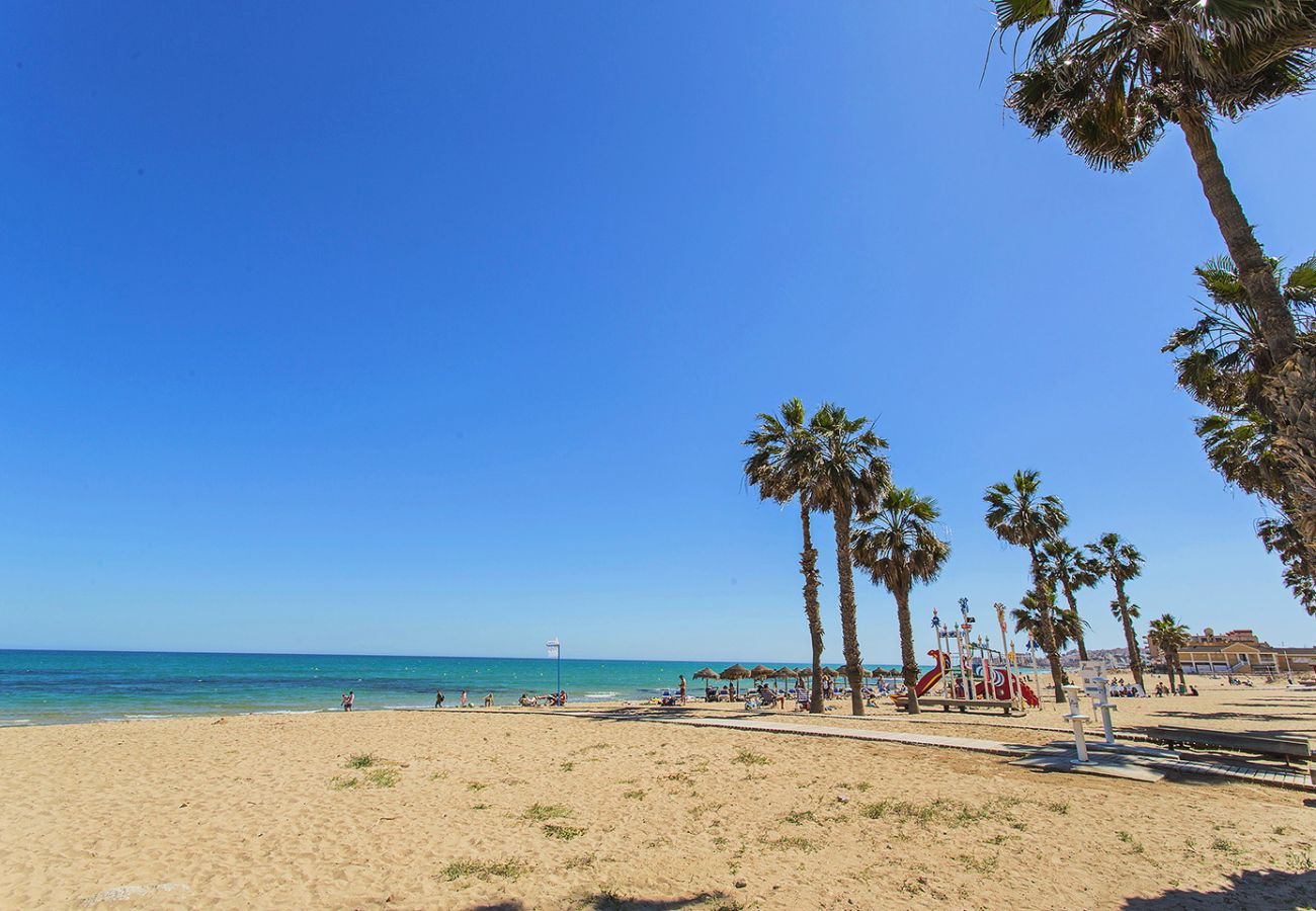 Apartment in La Mata - 033 Beach Terrace - Alicante Real Estate