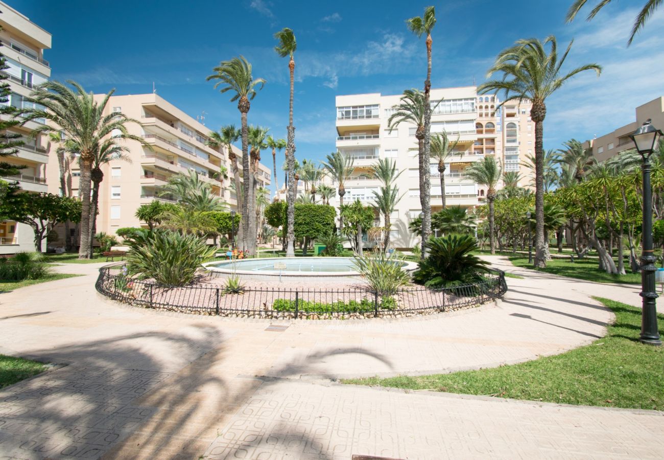 Apartment in Torrevieja - 093 - Mil Palmeras Dream