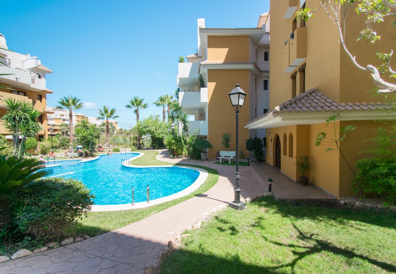 Apartment in Torrevieja - 214 Panorama Park - Alicante Holiday