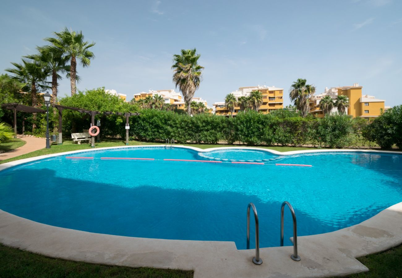 Apartment in Torrevieja - 214 Panorama Park - Alicante Holiday