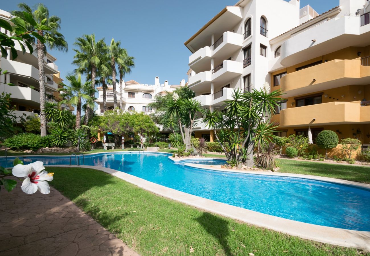 Apartment in Torrevieja - 214 Panorama Park - Alicante Holiday