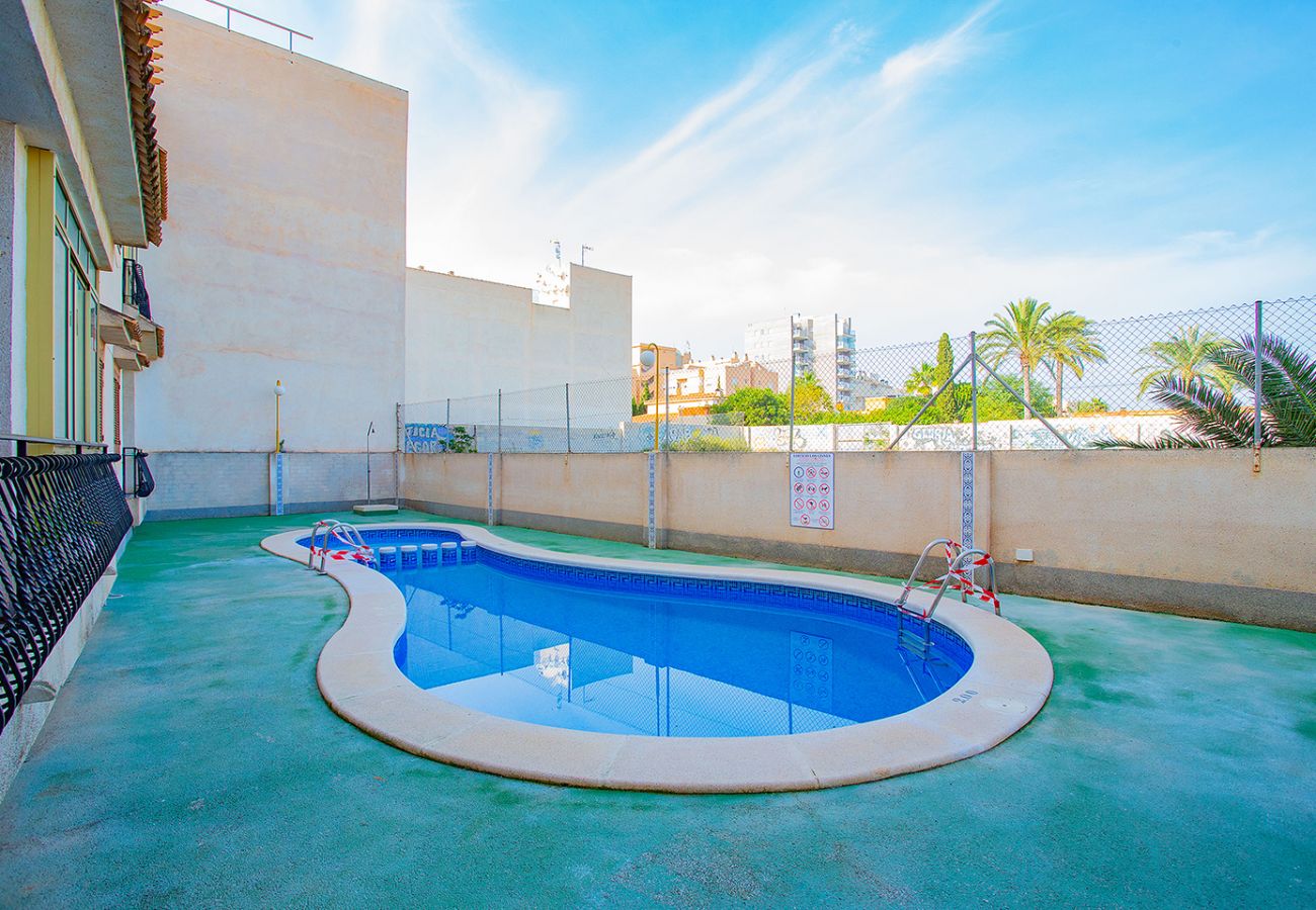 Apartment in Torrevieja - 124 Studio Relax - Alicante Holiday